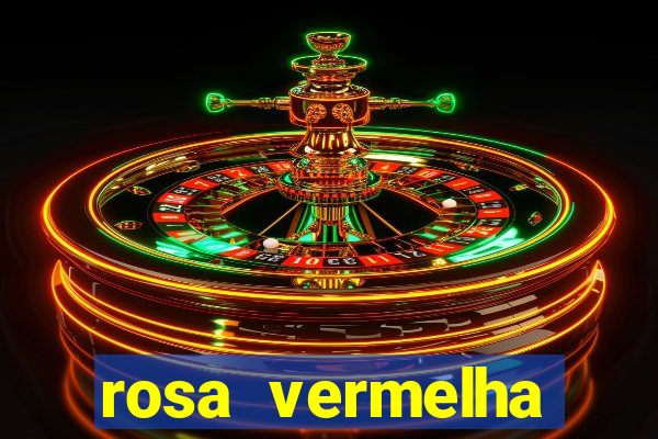 rosa vermelha (letra e cifra)